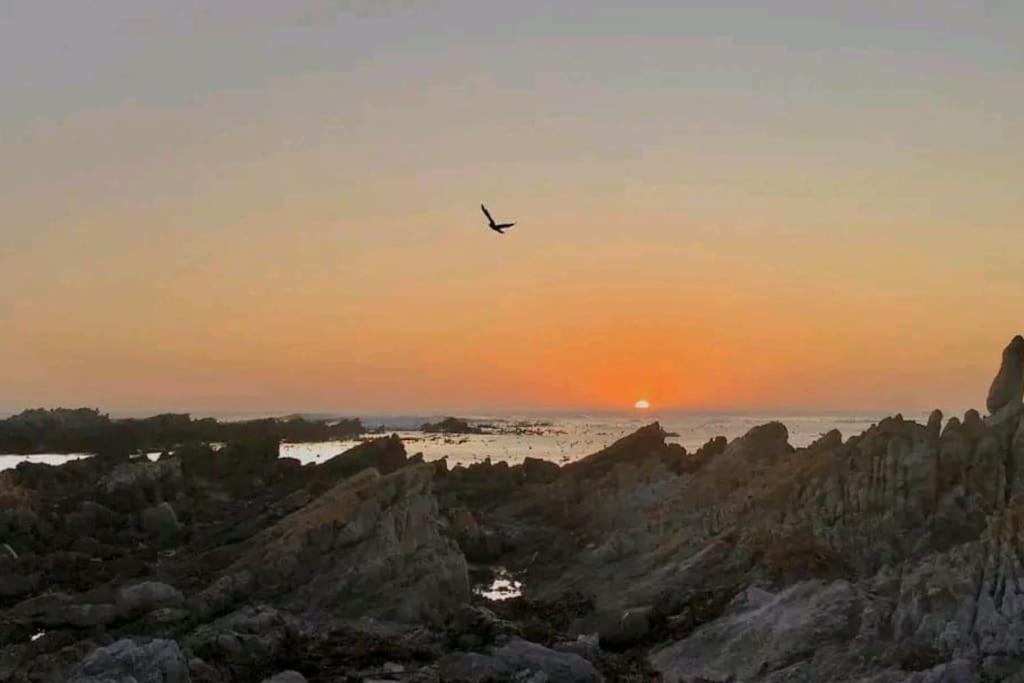 Hermanus Sea View Room 外观 照片